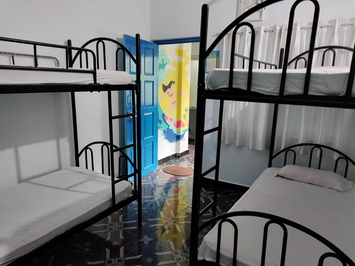 Goanvibes Hostel Anjuna Εξωτερικό φωτογραφία